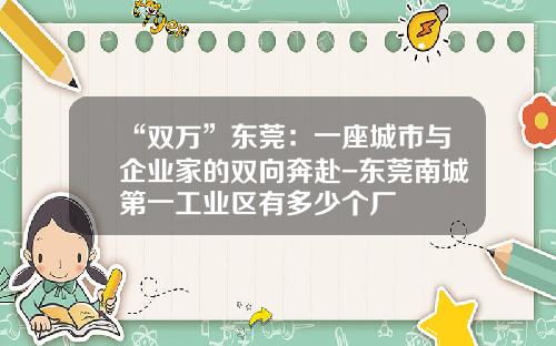“双万”东莞：一座城市与企业家的双向奔赴-东莞南城第一工业区有多少个厂