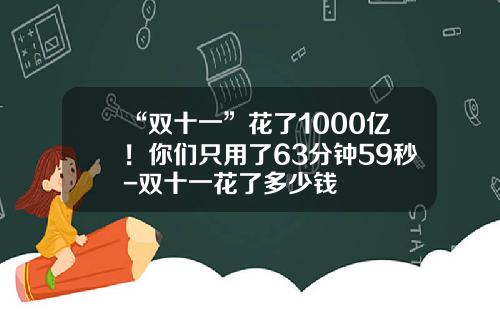 “双十一”花了1000亿！你们只用了63分钟59秒-双十一花了多少钱
