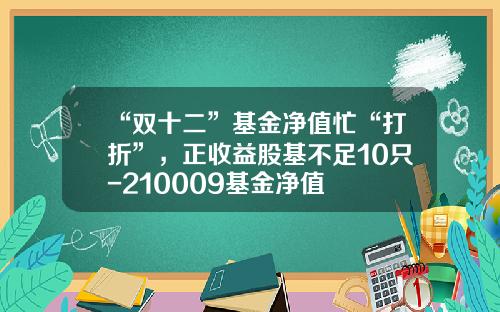 “双十二”基金净值忙“打折”，正收益股基不足10只-210009基金净值