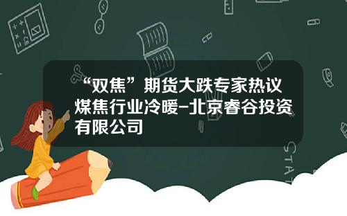 “双焦”期货大跌专家热议煤焦行业冷暖-北京睿谷投资有限公司