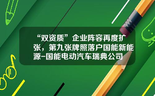 “双资质”企业阵容再度扩张，第九张牌照落户国能新能源-国能电动汽车瑞典公司