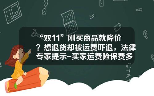 “双11”刚买商品就降价？想退货却被运费吓退，法律专家提示-买家运费险保费多少钱