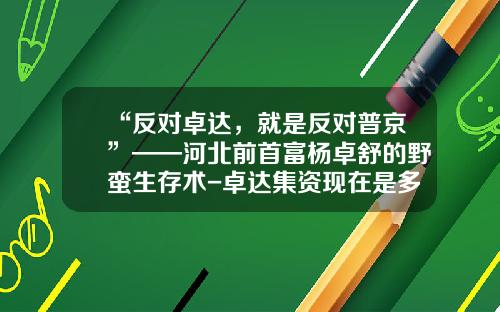 “反对卓达，就是反对普京”——河北前首富杨卓舒的野蛮生存术-卓达集资现在是多少点