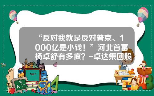 “反对我就是反对普京、1000亿是小钱！”河北首富杨卓舒有多疯？-卓达集团股票代码是多少