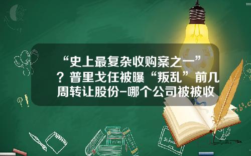 “史上最复杂收购案之一”？普里戈任被曝“叛乱”前几周转让股份-哪个公司被被收购了