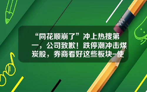 “同花顺崩了”冲上热搜第一，公司致歉！跌停潮冲击煤炭股，券商看好这些板块-使用同花顺的证券公司