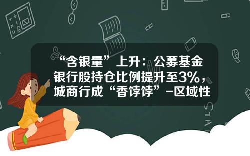 “含银量”上升：公募基金银行股持仓比例提升至3%，城商行成“香饽饽”-区域性基金