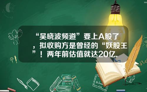 “吴晓波频道”要上A股了，拟收购方是曾经的“妖股王”！两年前估值就达20亿......-蓝狮子今天的股权价是多少