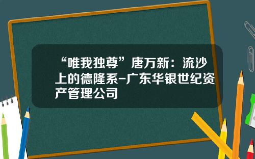 “唯我独尊”唐万新：流沙上的德隆系-广东华银世纪资产管理公司