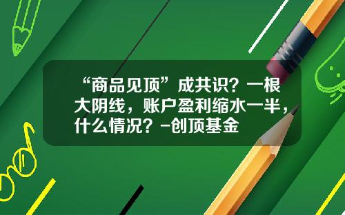 “商品见顶”成共识？一根大阴线，账户盈利缩水一半，什么情况？-创顶基金
