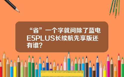 “省”一个字就问除了蓝电E5PLUS长续航先享版还有谁？