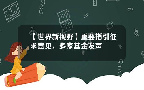 【世界新视野】重要指引征求意见，多家基金发声