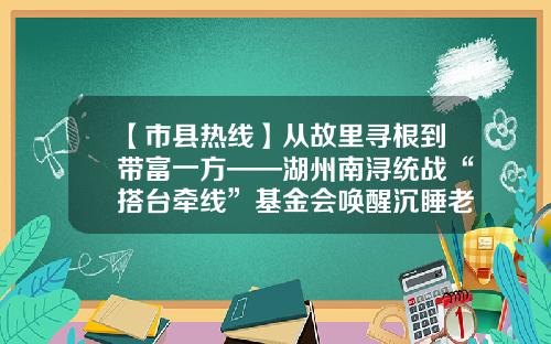 【市县热线】从故里寻根到带富一方——湖州南浔统战“搭台牵线”基金会唤醒沉睡老宅凝聚侨心侨爱-淘宝基金会