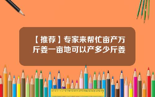 【推荐】专家来帮忙亩产万斤姜一亩地可以产多少斤姜