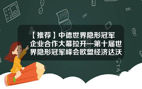 【推荐】中德世界隐形冠军企业合作大幕拉开—第十届世界隐形冠军峰会欧盟经济达沃斯在德国举行-德国manz公司