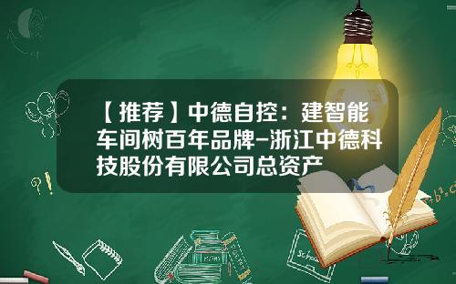 【推荐】中德自控：建智能车间树百年品牌-浙江中德科技股份有限公司总资产