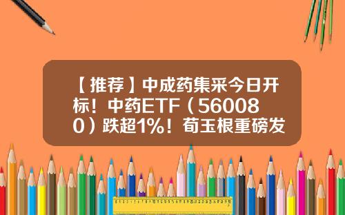 【推荐】中成药集采今日开标！中药ETF（560080）跌超1%！荀玉根重磅发声：现在经济和股市都是见底回升初期-中国外股票资讯