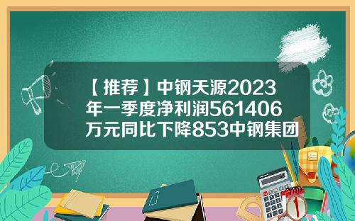 【推荐】中钢天源2023年一季度净利润561406万元同比下降853中钢集团科技发展有限公司