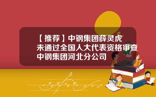 【推荐】中钢集团薛灵虎​未通过全国人大代表资格审查中钢集团河北分公司