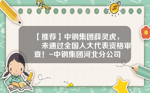 【推荐】中钢集团薛灵虎，​未通过全国人大代表资格审查！-中钢集团河北分公司