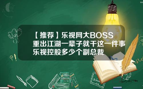 【推荐】乐视网大BOSS重出江湖一辈子就干这一件事乐视控股多少个副总裁