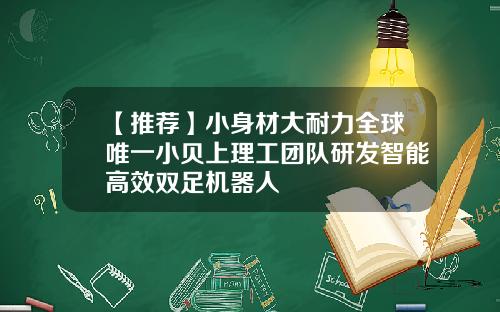 【推荐】小身材大耐力全球唯一小贝上理工团队研发智能高效双足机器人