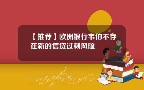 【推荐】欧洲银行韦伯不存在新的信贷过剩风险