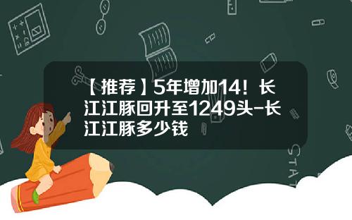 【推荐】5年增加14！长江江豚回升至1249头-长江江豚多少钱