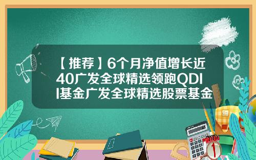 【推荐】6个月净值增长近40广发全球精选领跑QDII基金广发全球精选股票基金