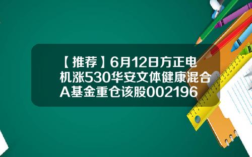 【推荐】6月12日方正电机涨530华安文体健康混合A基金重仓该股002196基金