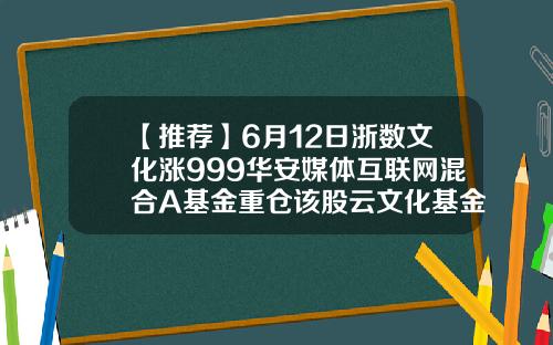 【推荐】6月12日浙数文化涨999华安媒体互联网混合A基金重仓该股云文化基金