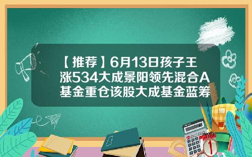 【推荐】6月13日孩子王涨534大成景阳领先混合A基金重仓该股大成基金蓝筹
