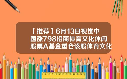 【推荐】6月13日视觉中国涨798招商体育文化休闲股票A基金重仓该股体育文化基金
