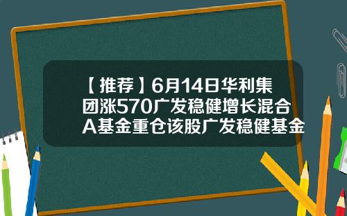 【推荐】6月14日华利集团涨570广发稳健增长混合A基金重仓该股广发稳健基金净值