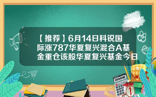 【推荐】6月14日科锐国际涨787华夏复兴混合A基金重仓该股华夏复兴基金今日净值