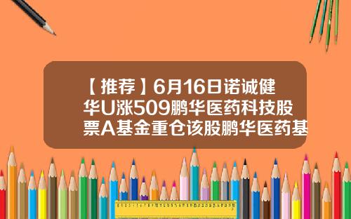 【推荐】6月16日诺诚健华U涨509鹏华医药科技股票A基金重仓该股鹏华医药基金