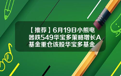 【推荐】6月19日小熊电器跌549华宝多策略增长A基金重仓该股华宝多基金