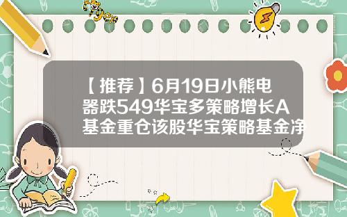【推荐】6月19日小熊电器跌549华宝多策略增长A基金重仓该股华宝策略基金净值