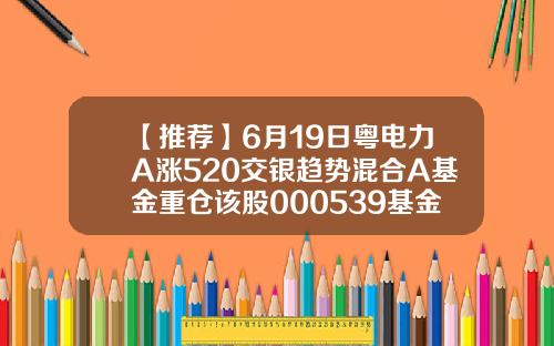 【推荐】6月19日粤电力A涨520交银趋势混合A基金重仓该股000539基金