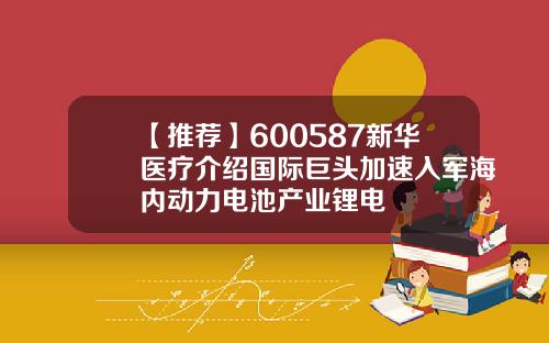 【推荐】600587新华医疗介绍国际巨头加速入军海内动力电池产业锂电