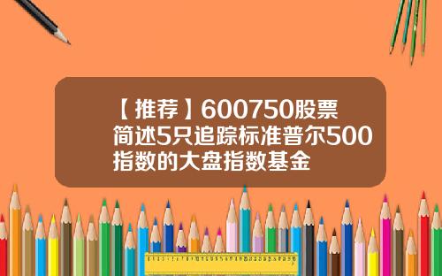 【推荐】600750股票简述5只追踪标准普尔500指数的大盘指数基金