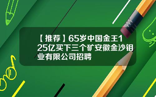 【推荐】65岁中国金王125亿买下三个矿安徽金沙钼业有限公司招聘