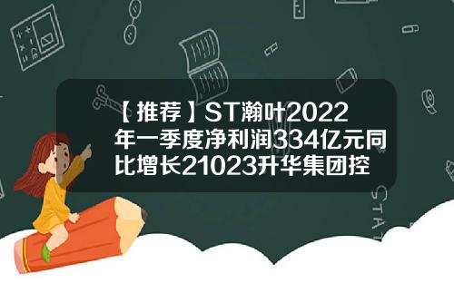 【推荐】ST瀚叶2022年一季度净利润334亿元同比增长21023升华集团控股有限公司