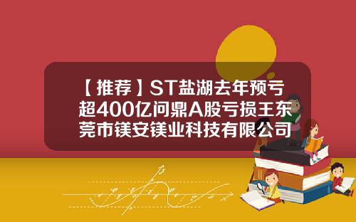 【推荐】ST盐湖去年预亏超400亿问鼎A股亏损王东莞市镁安镁业科技有限公司