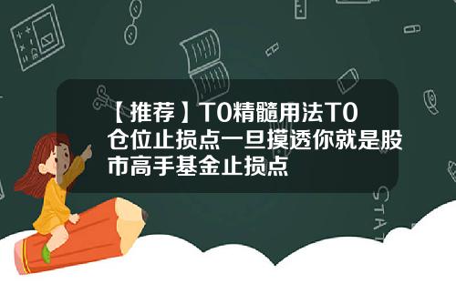 【推荐】T0精髓用法T0仓位止损点一旦摸透你就是股市高手基金止损点