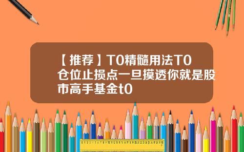 【推荐】T0精髓用法T0仓位止损点一旦摸透你就是股市高手基金t0