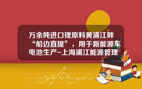 万余吨进口锂原料黄浦江畔“船边直提”，用于新能源车电池生产-上海浦江能源管理有限公司【新闻】.