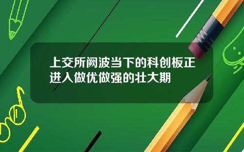 上交所阙波当下的科创板正进入做优做强的壮大期