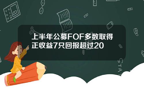 上半年公募FOF多数取得正收益7只回报超过20