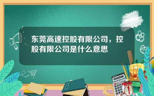 东莞高速控股有限公司，控股有限公司是什么意思